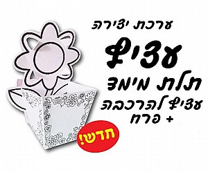 ערכת יצירה עציץ תלת מימד ערכת יצירה עציץ תלת מימד