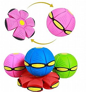   - frisbee ball