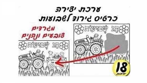 ���� 18 ����� �����  ������ ��� �������